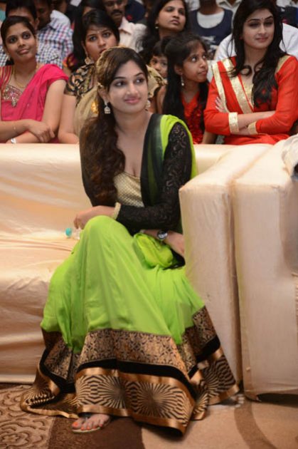 Race-Gurram-Movie-Audio-Launch